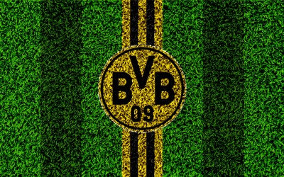 大象体育独家-北爱尔兰队国际友谊赛意义