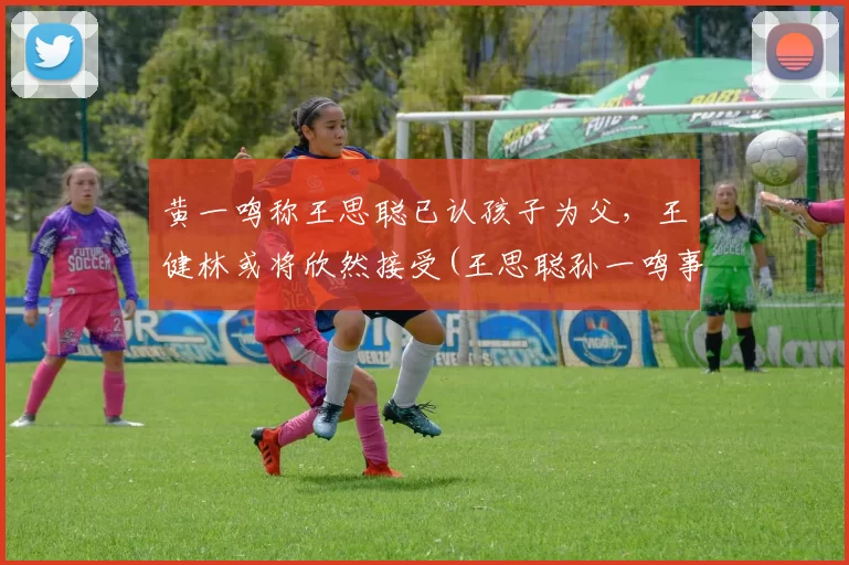 黄一鸣称王思聪已认孩子为父，王健林或将欣然接受(王思聪孙一鸣事件)