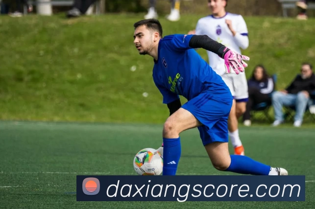 App Interface Preview