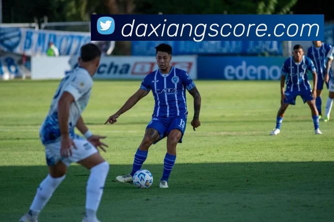 大象体育比分APP 封面图